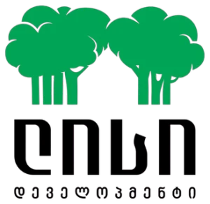 Lisi Development